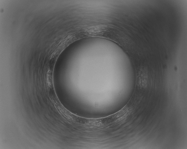 X0000053111346200507111244