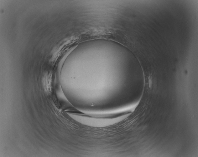 X0000053111348200507111244