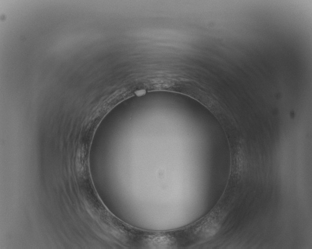 X0000053110218200507181819