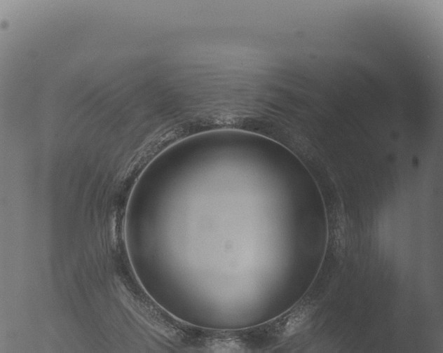 X0000053110262200507181818