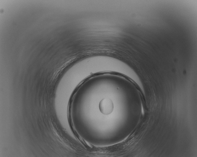 X0000053110356200507181817
