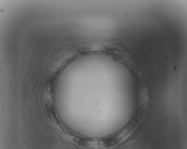 X0000053110415200507181816