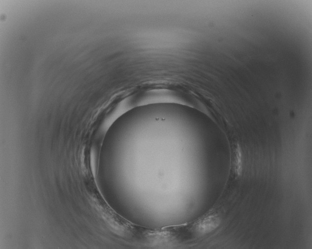 X0000053110428200507181816