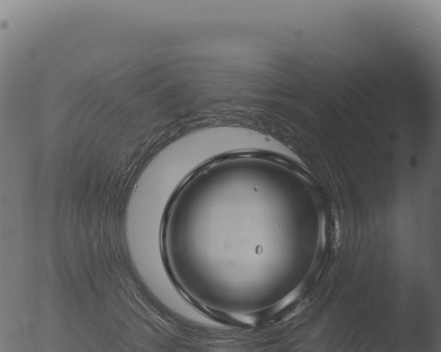 X0000053110562200507181814
