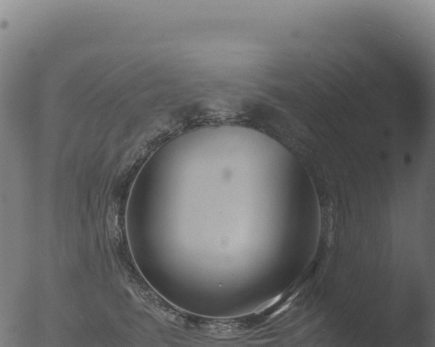X0000053110615200507181812