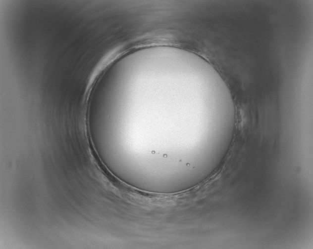 X0000053110004200507251709