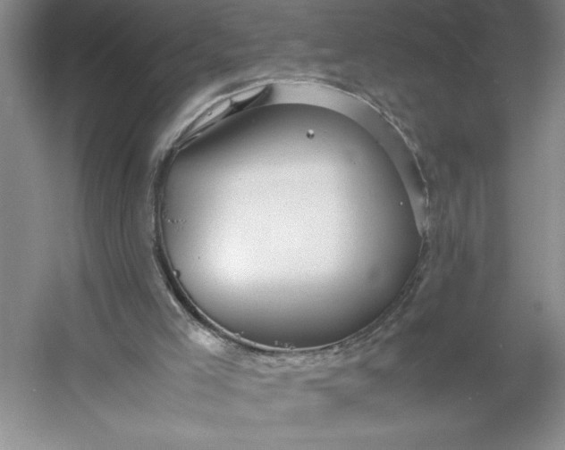 X0000053110005200507251709