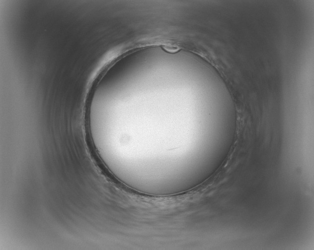 X0000053110006200507251709