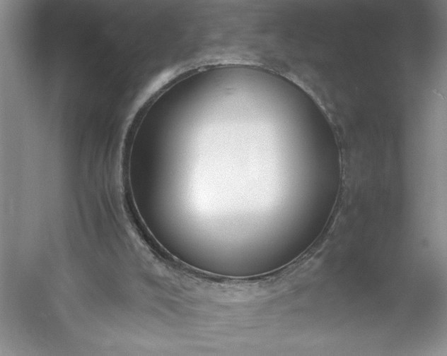 X0000053110008200507251709