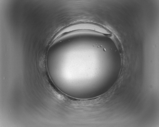 X0000053110009200507251709