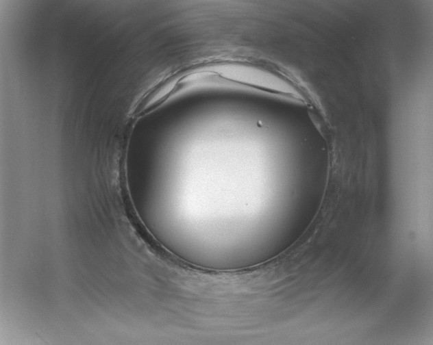 X0000053110010200507251709