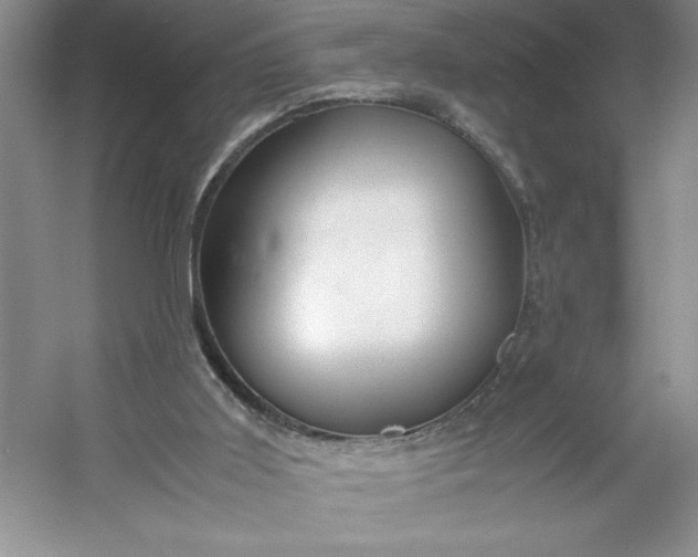 X0000053110011200507251709