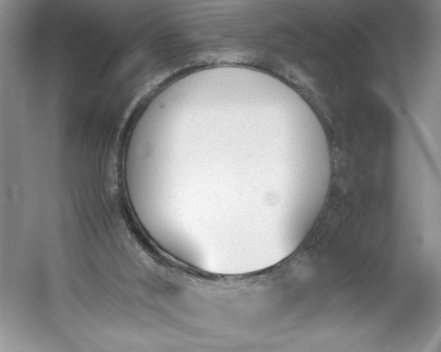 X0000053110012200507251709