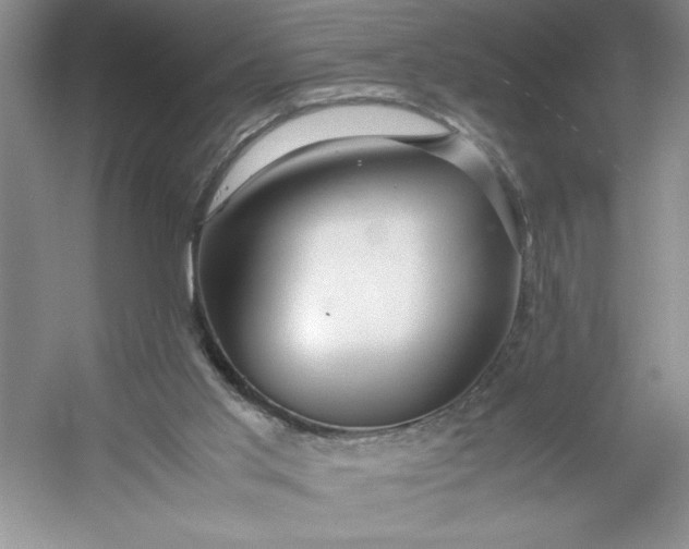 X0000053110013200507251709