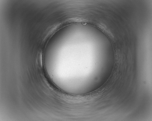 X0000053110014200507251709