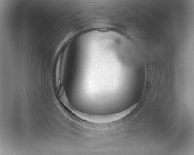 X0000053110015200507251709