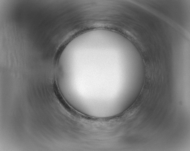 X0000053110016200507251709