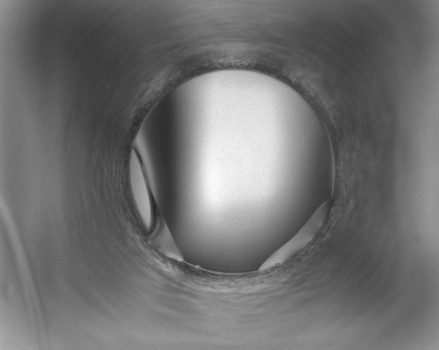 X0000053110017200507251709