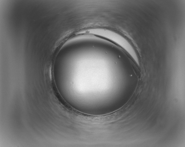 X0000053110019200507251709