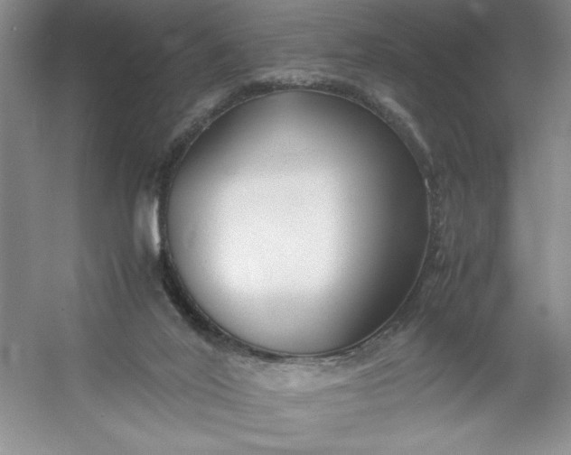 X0000053110020200507251709