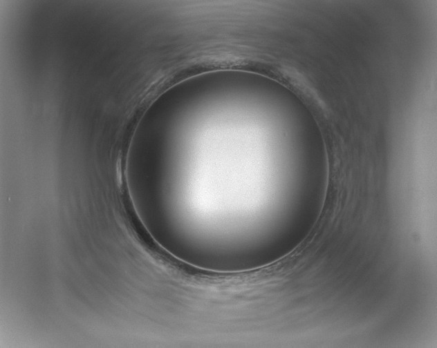 X0000053110021200507251709