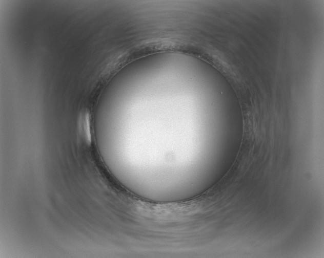 X0000053110022200507251709