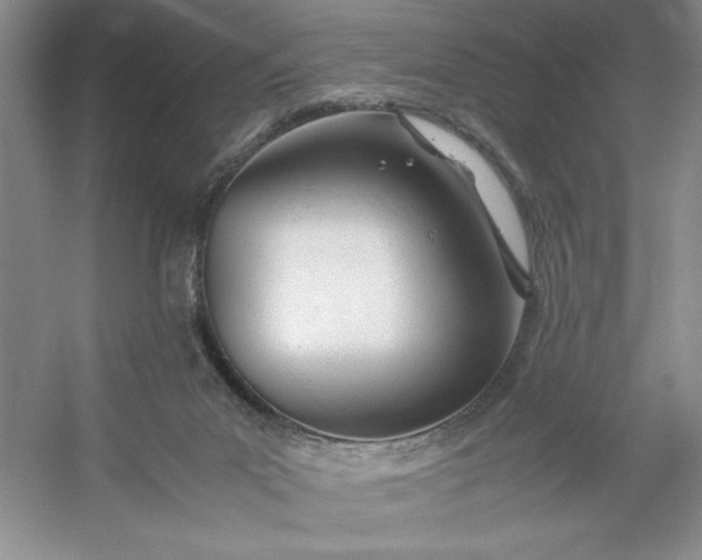 X0000053110023200507251709