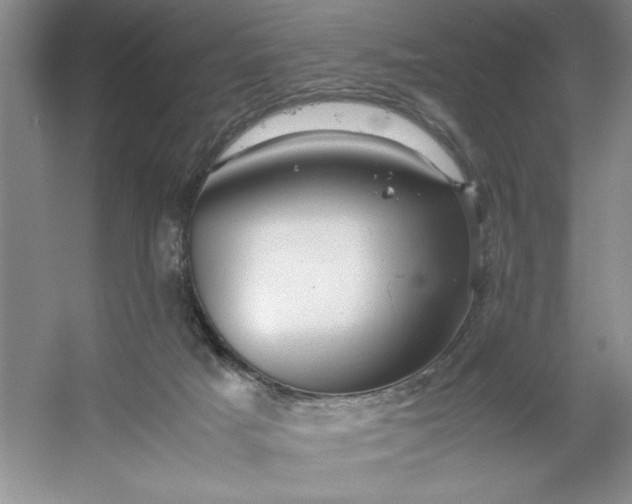 X0000053110025200507251709