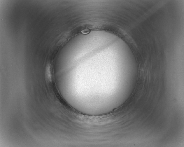 X0000053110026200507251709