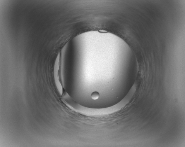 X0000053110029200507251709