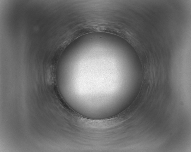 X0000053110030200507251709