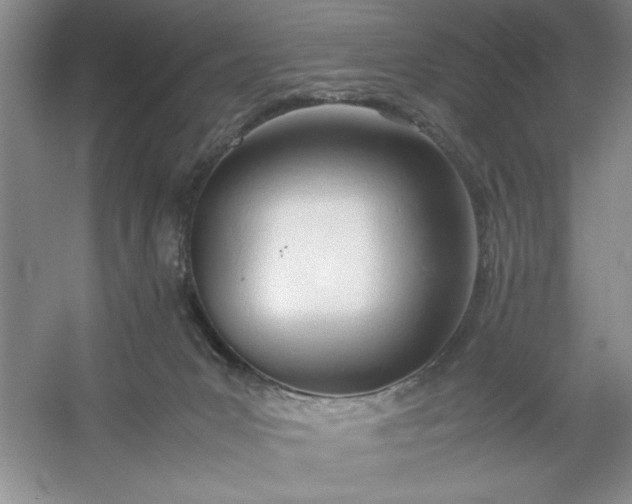 X0000053110031200507251709