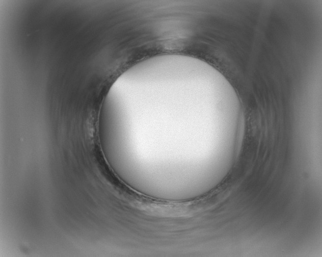 X0000053110032200507251708