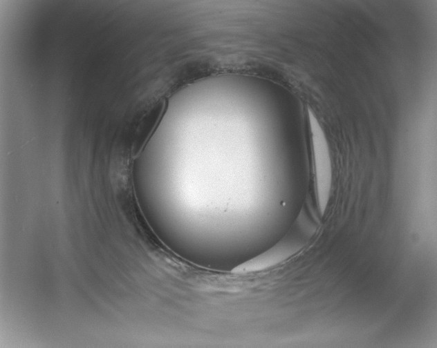 X0000053110033200507251708