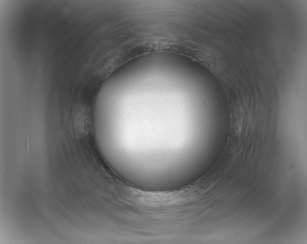 X0000053110034200507251708