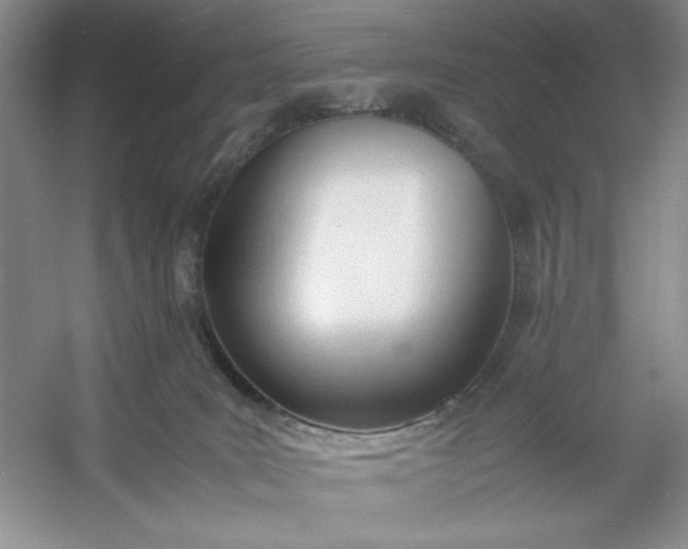 X0000053110035200507251708