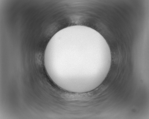 X0000053110036200507251708