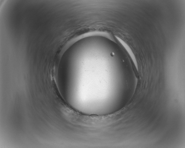 X0000053110037200507251708