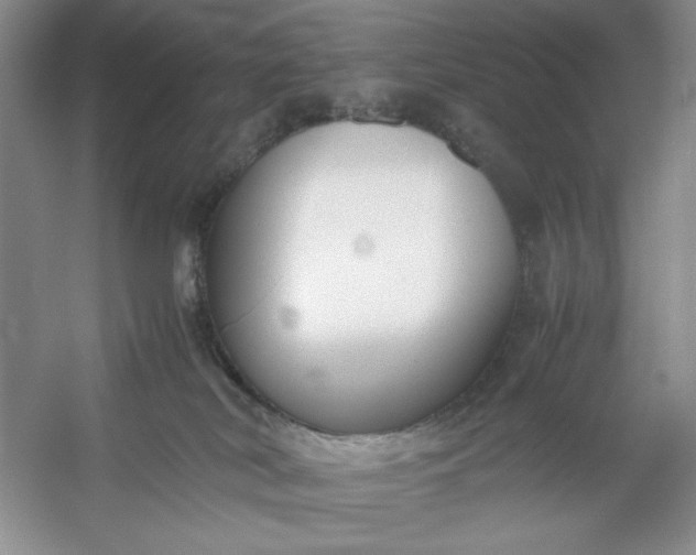 X0000053110038200507251708