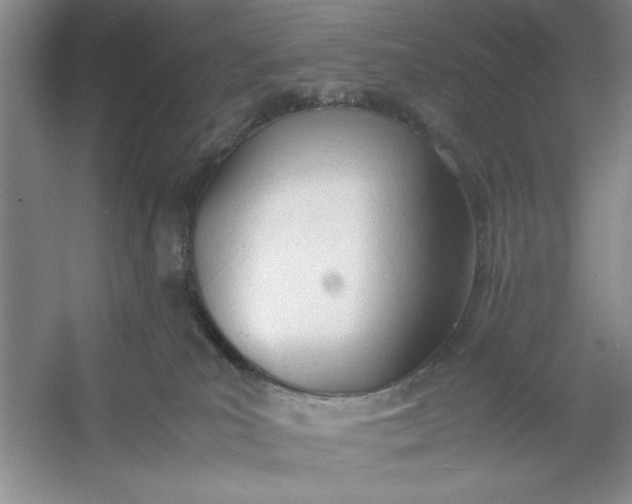 X0000053110039200507251708