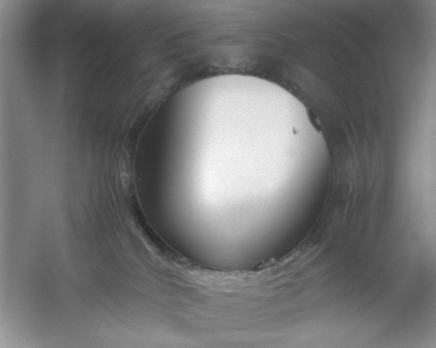 X0000053110040200507251708