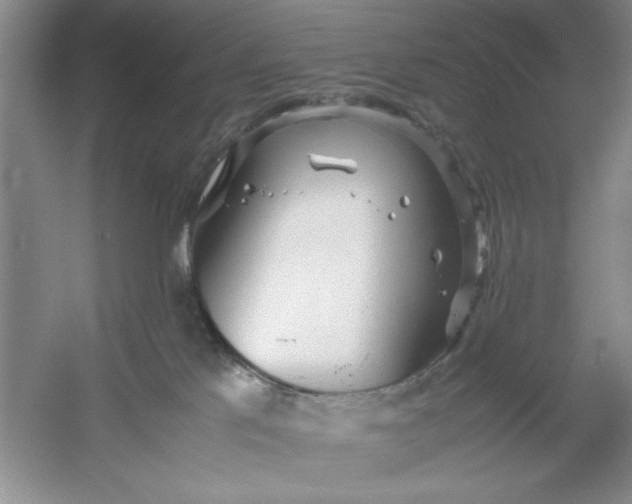 X0000053110041200507251708