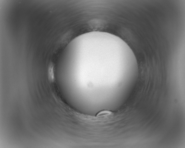 X0000053110042200507251708