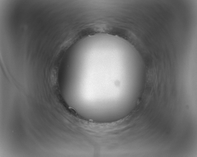 X0000053110043200507251708