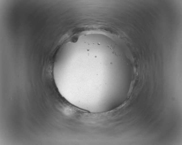 X0000053110045200507251708