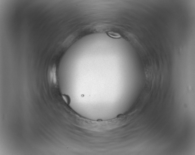 X0000053110046200507251708