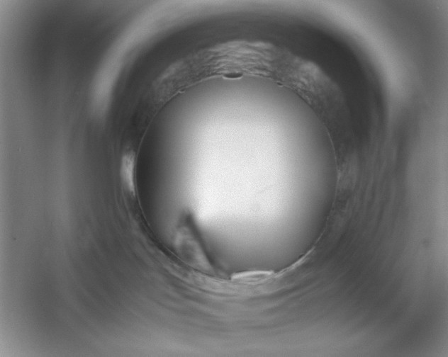 X0000053110047200507251708