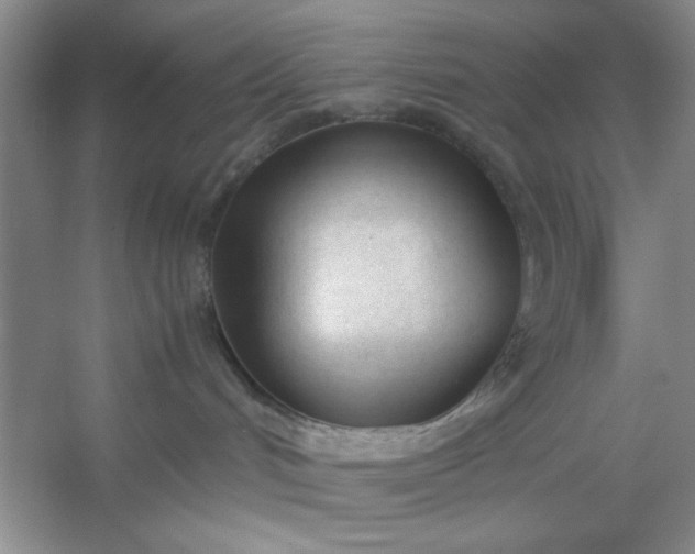 X0000053110048200507251708