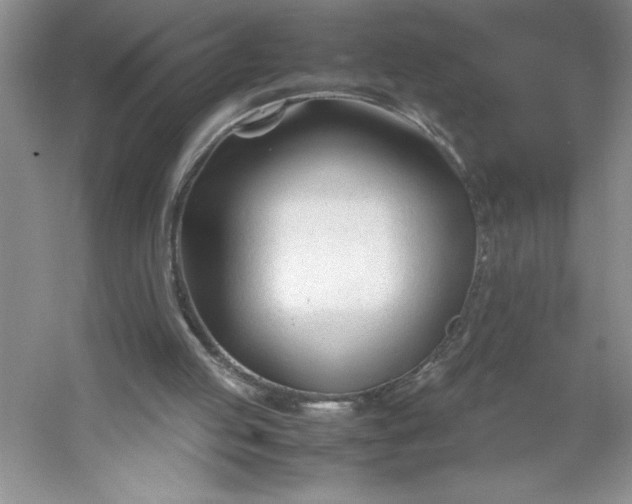 X0000053110053200507251707