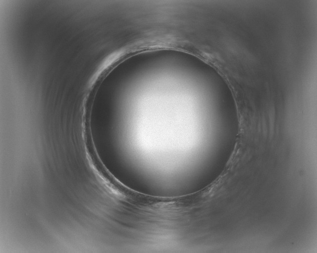 X0000053110054200507251707